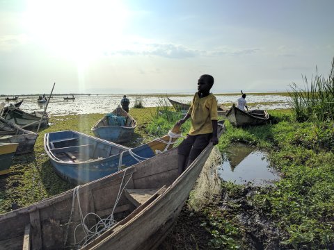 Credit: Michelle Stanton Caption: Lake Albert, Uganda during a schistosomiasis survey. Snails were sampled in the lake. All 30 children surveyed in the nearby school tested positive for schistosomiasis despite regular treatment with praziquantel. Credit: Michelle Stanton Caption: Lake Albert, Uganda during a schistosomiasis survey. Snails were sampled in the lake. All 30 children surveyed in the nearby school tested positive for schistosomiasis despite regular treatment with praziquantel.